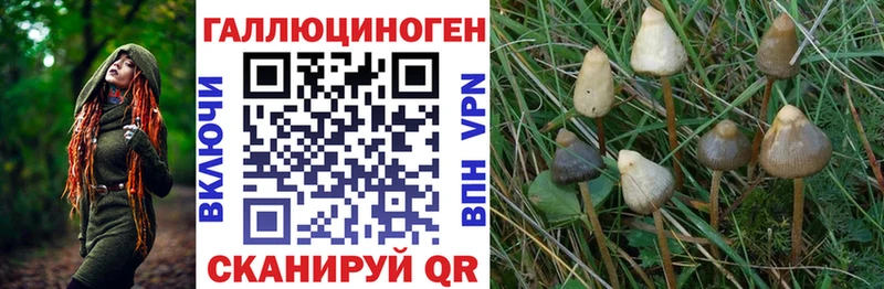 Галлюциногенные грибы GOLDEN TEACHER  Верхний Тагил 